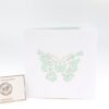 AN105-DB-IMG_1262 Schmetterling-AN105