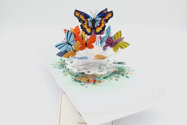 AN105-Drehen-IMG_0659 Schmetterling-AN105