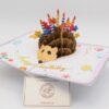 BD136-Drehen-IMG_0666 Geburtstag-Igel-BD136
