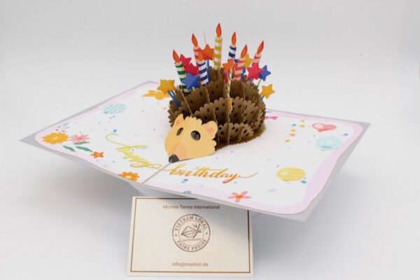 BD136-Drehen-IMG_0666 Geburtstag-Igel-BD136