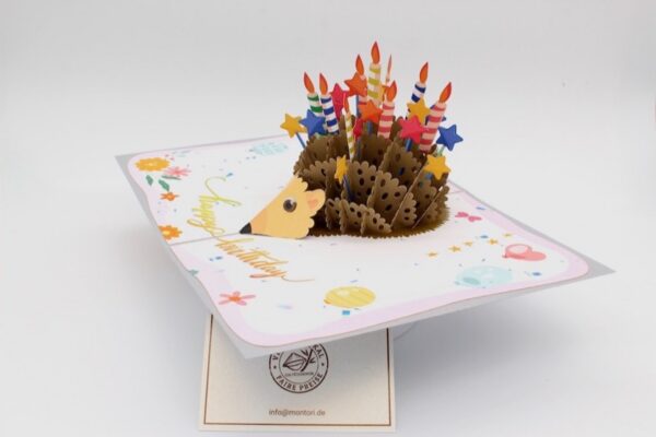 BD136-Drehen-IMG_0668 Geburtstag-Igel-BD136