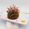 BD136-Drehen-IMG_0676 Geburtstag-Igel-BD136
