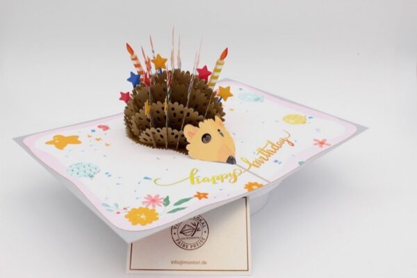BD136-Drehen-IMG_0682 Geburtstag-Igel-BD136