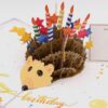 BD136-Highlight-IMG_1324 Geburtstag-Igel-BD136