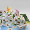 Blumen-Schmetterling-SD286